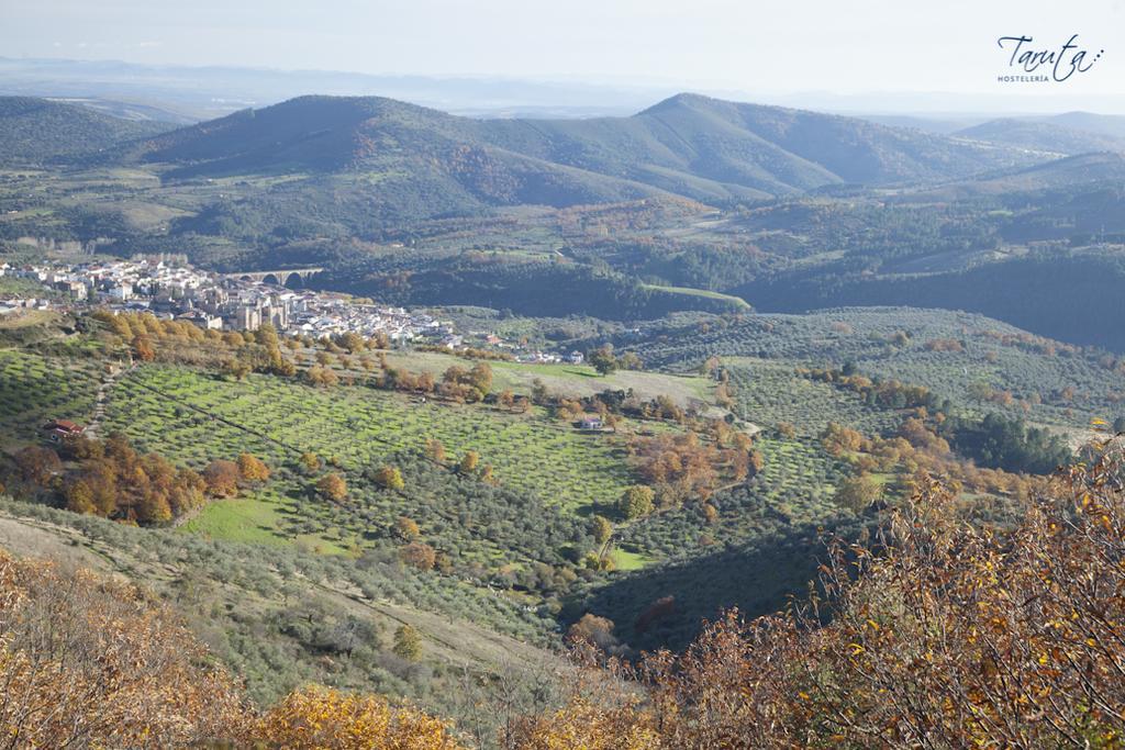 Hostal Alba Taruta غوادالوبي المظهر الخارجي الصورة