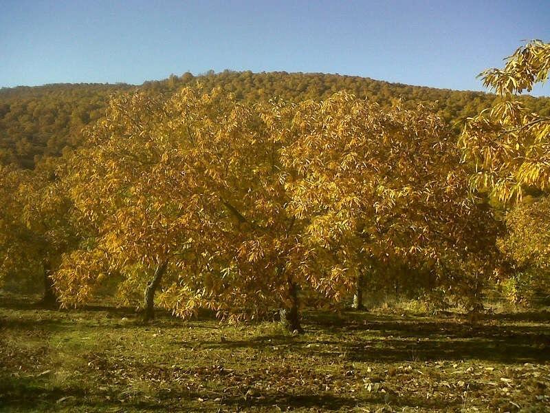 Hostal Alba Taruta غوادالوبي المظهر الخارجي الصورة